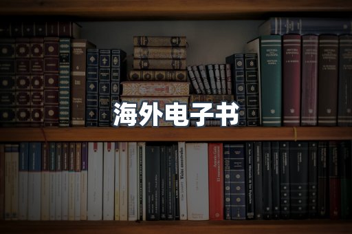 海外电子书